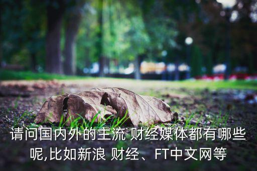 請問國內(nèi)外的主流 財經(jīng)媒體都有哪些呢,比如新浪 財經(jīng)、FT中文網(wǎng)等