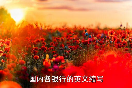 國(guó)內(nèi)各銀行的英文縮寫(xiě)