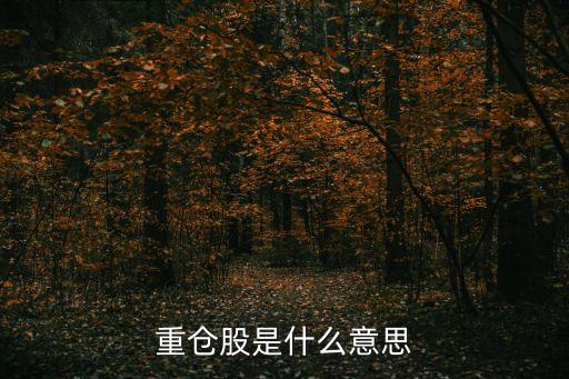 社保基金投資的股票