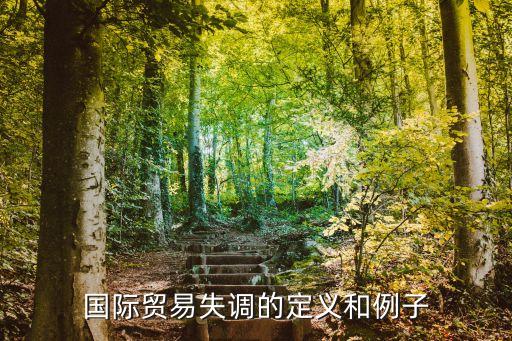 國(guó)際貿(mào)易失調(diào)的定義和例子