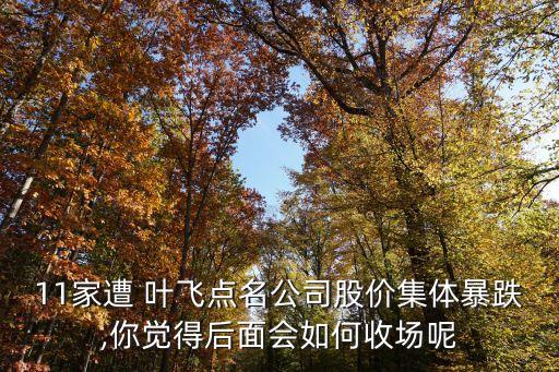 11家遭 葉飛點(diǎn)名公司股價(jià)集體暴跌,你覺(jué)得后面會(huì)如何收?qǐng)瞿? class=