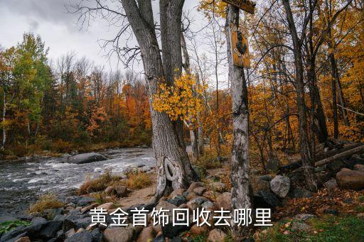 哪個(gè)銀行金條可回購,銀行金條購買價(jià)格與回購價(jià)格的差額