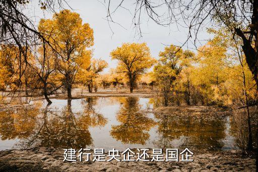 中國建設(shè)銀行機構(gòu)設(shè)置