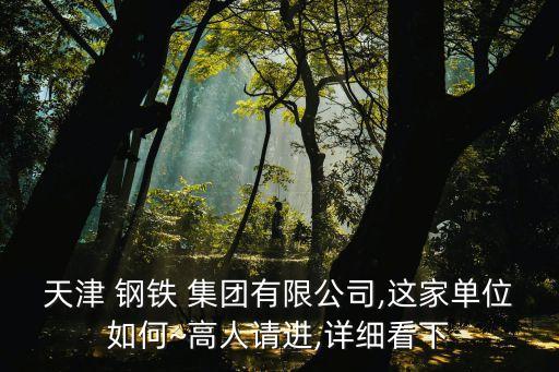 天津 鋼鐵 集團(tuán)有限公司,這家單位如何~高人請(qǐng)進(jìn),詳細(xì)看下