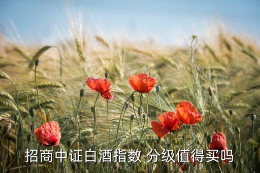 招商中證白酒指數(shù) 分級(jí)值得買(mǎi)嗎