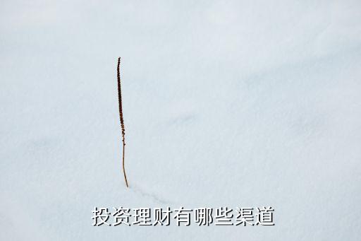  投資理財(cái)有哪些渠道