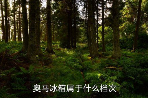 廣東奧馬集團,奧馬集團最新通知