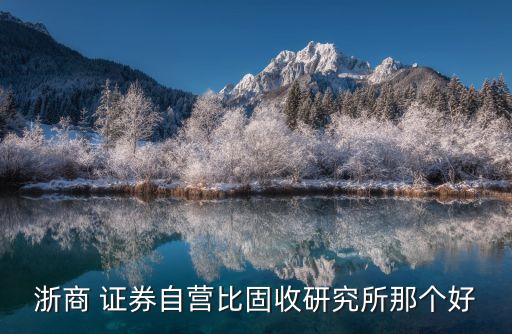 浙商 證券自營(yíng)比固收研究所那個(gè)好