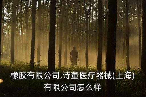 詩(shī)董橡膠有限公司,詩(shī)董醫(yī)療器械(上海)有限公司怎么樣