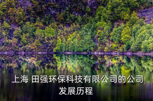  上海 田強環(huán)?？萍加邢薰镜墓景l(fā)展歷程