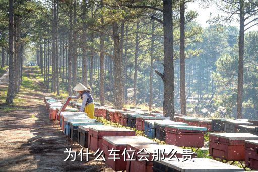 地上產(chǎn)權(quán)車庫投資價值,地上車庫產(chǎn)權(quán)多少年 到期怎么辦