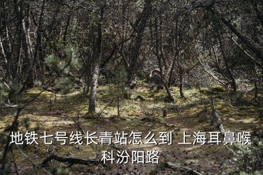 地鐵七號線長青站怎么到 上海耳鼻喉科汾陽路