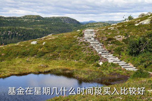  基金在星期幾什么時間段買入比較好