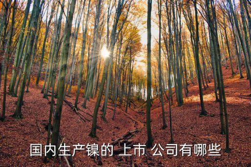 上市公司武昌魚(yú),600275武昌魚(yú)股票退市了嗎
