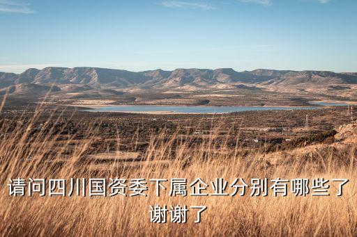 請(qǐng)問(wèn)四川國(guó)資委下屬企業(yè)分別有哪些了謝謝了