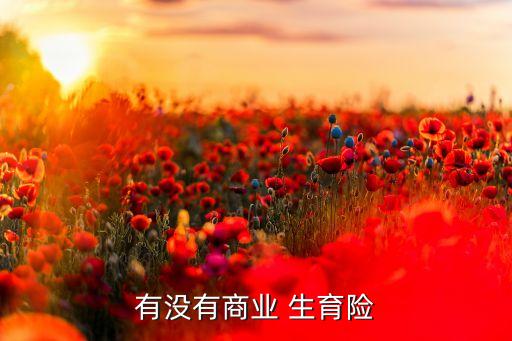 有沒有商業(yè) 生育險