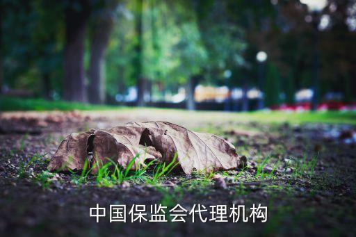 中國保監(jiān)會(huì)代理機(jī)構(gòu)