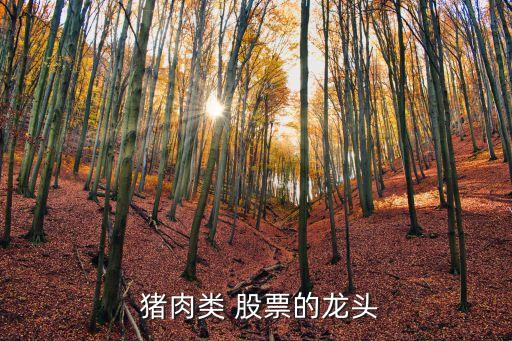 豬肉股票有哪些,關于豬肉的股票有哪些