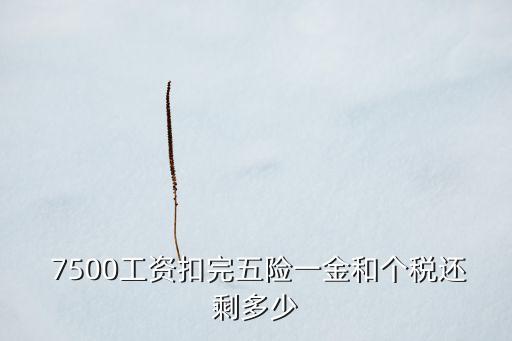  7500工資扣完五險一金和個稅還剩多少