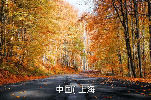 上海自貿(mào)區(qū)面臨的風(fēng)險與挑戰(zhàn)