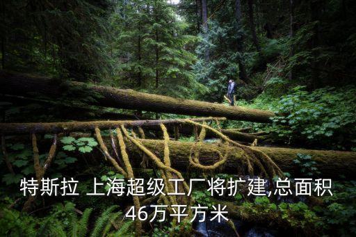 特斯拉 上海超級工廠將擴建,總面積46萬平方米