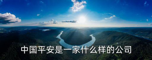 中國平安是一家什么樣的公司