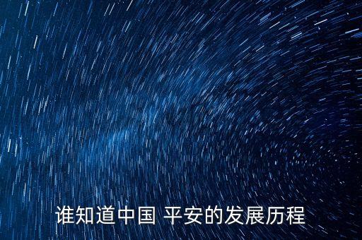 平安集團(tuán)2013年報