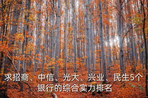 求招商、中信、光大、興業(yè)、民生5個(gè) 銀行的綜合實(shí)力排名