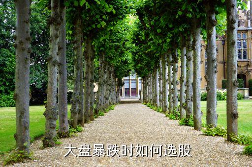  大盤(pán)暴跌時(shí)如何選股