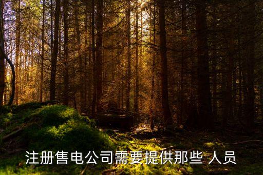 重慶電力公司單業(yè)才相關人員
