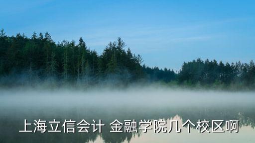  上海立信會計(jì) 金融學(xué)院幾個校區(qū)啊