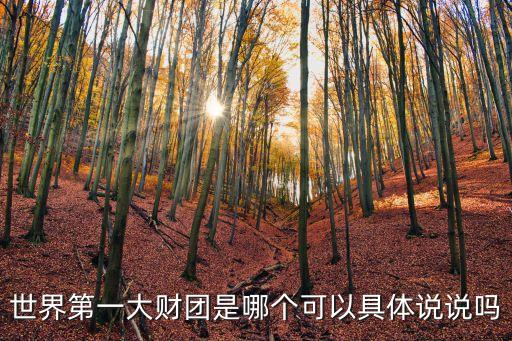 世界第一大財(cái)團(tuán)是哪個(gè)可以具體說(shuō)說(shuō)嗎