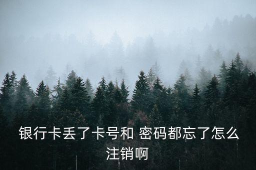 銀行賬戶忘記密碼能銷戶嗎,社?？ㄣy行賬戶忘記密碼怎么辦