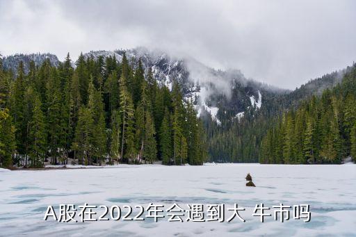 A股在2022年會遇到大 牛市嗎