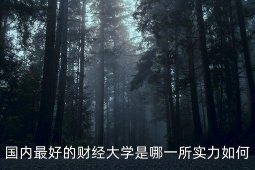 國(guó)內(nèi)最好的財(cái)經(jīng)大學(xué)是哪一所實(shí)力如何