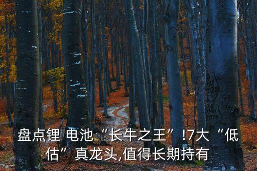 盤點(diǎn)鋰 電池“長牛之王”!7大“低估”真龍頭,值得長期持有