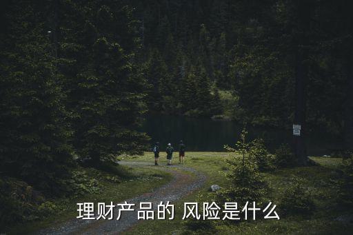  理財產品的 風險是什么