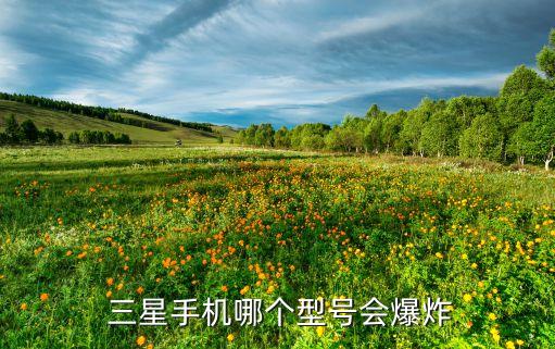 三星做中國(guó)人民喜愛的企業(yè),中國(guó)三星做中國(guó)人民喜愛的