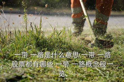  一帶 一路是什么意思 一帶 一路 股票都有哪些 一帶 一路概念股一覽
