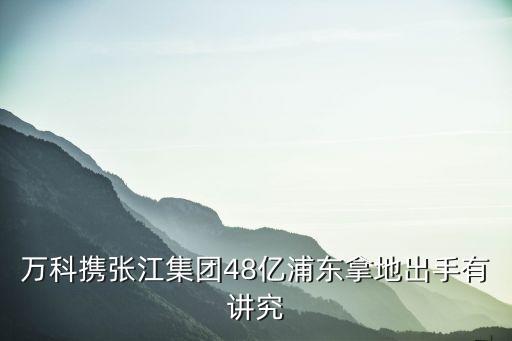 萬科攜張江集團48億浦東拿地出手有講究