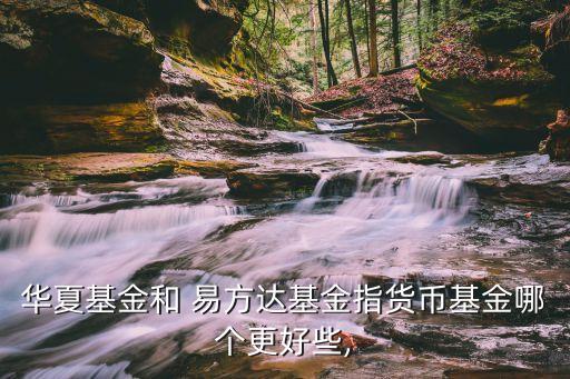 華夏基金和 易方達(dá)基金指貨幣基金哪個(gè)更好些,