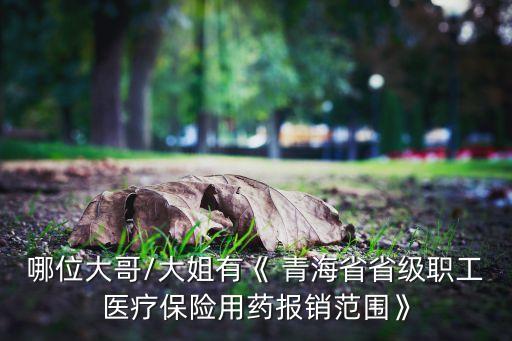 哪位大哥/大姐有《 青海省省級(jí)職工醫(yī)療保險(xiǎn)用藥報(bào)銷范圍》
