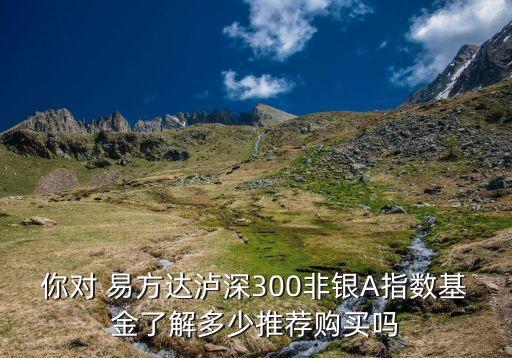 你對(duì) 易方達(dá)瀘深300非銀A指數(shù)基金了解多少推薦購(gòu)買嗎