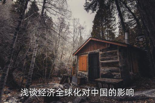 淺談經(jīng)濟(jì)全球化對(duì)中國(guó)的影響