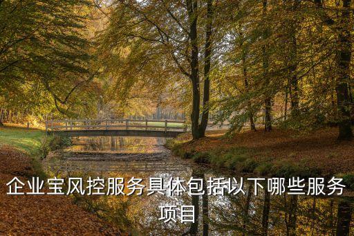 企業(yè)寶風控服務(wù)具體包括以下哪些服務(wù)項目