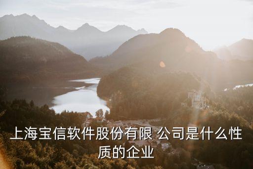 上海寶信軟件股份有限 公司是什么性質的企業(yè)