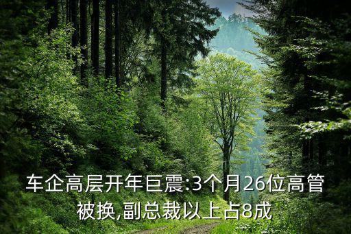 豐田汽車中國區(qū)負責人,中國收購豐田汽車