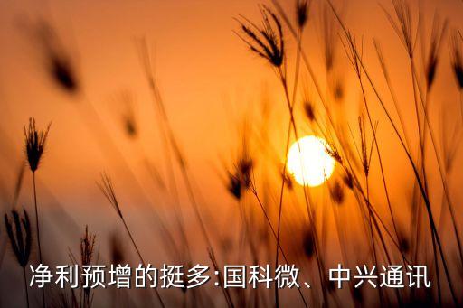 凈利預(yù)增的挺多:國(guó)科微、中興通訊
