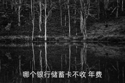 哪個(gè)銀行儲蓄卡不收 年費(fèi)