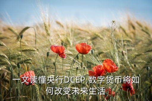 讀懂中國經(jīng)濟(jì)數(shù)據(jù)上